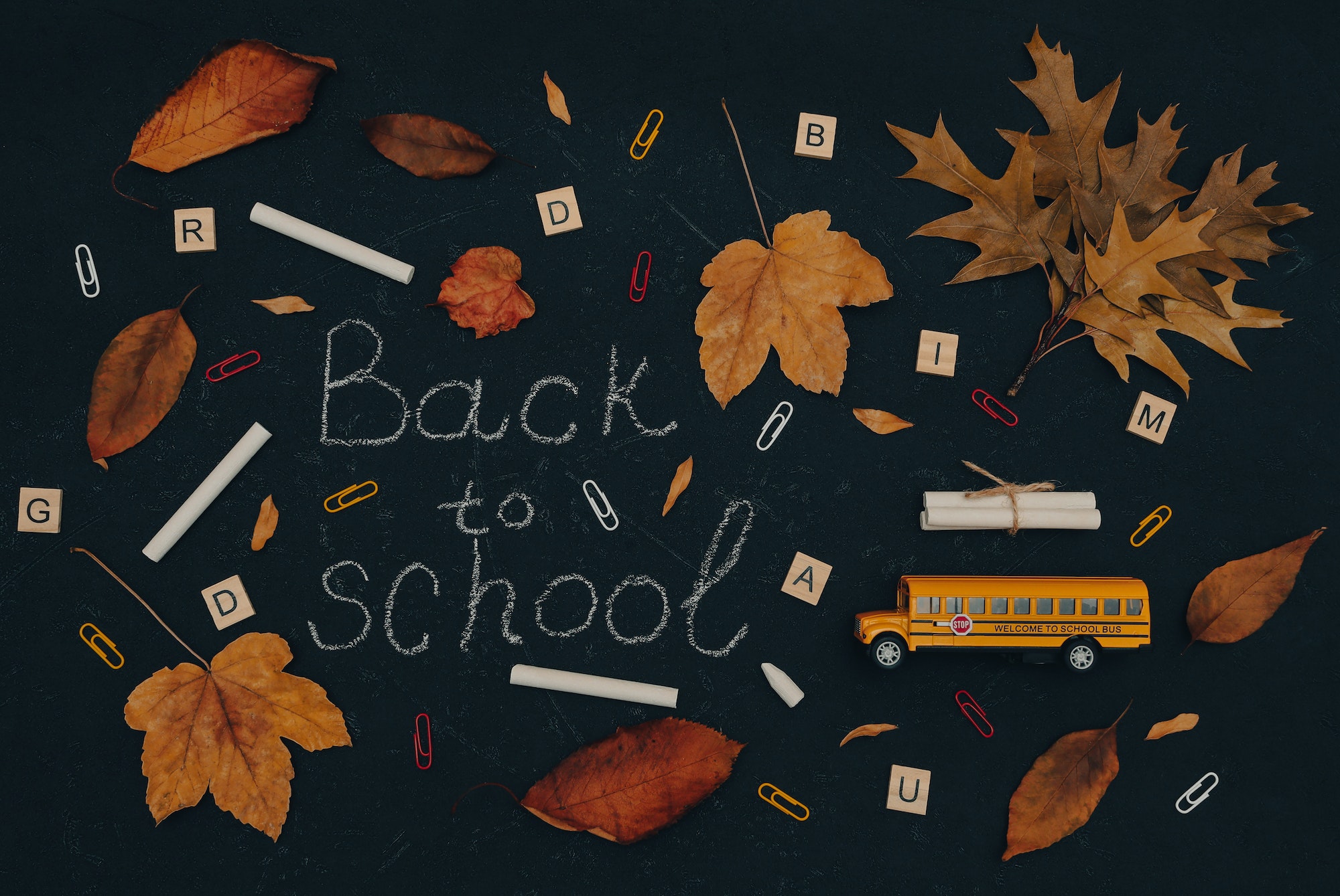 Back to school concept with school bus.